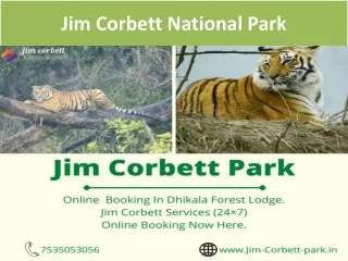 Jim Corbett National Park