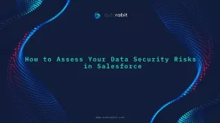 How to Assess Your Data Security Risks in Salesforce