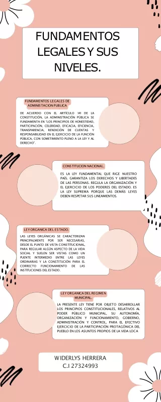 Infografía fundamentos legales y niveles de la administracion publica.