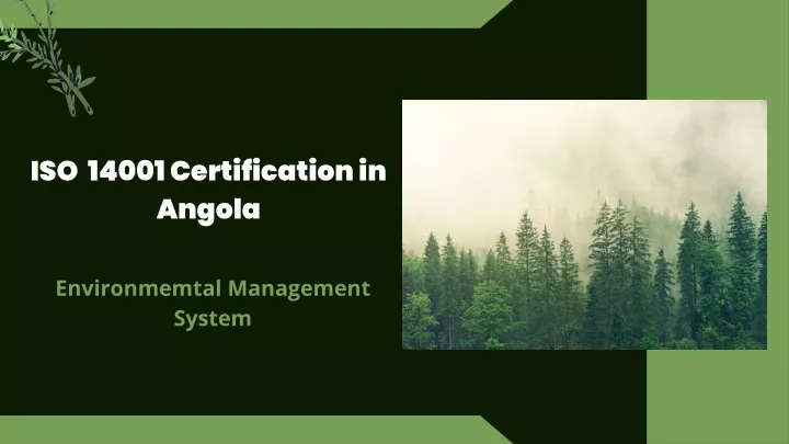 iso 14001 certification in angola