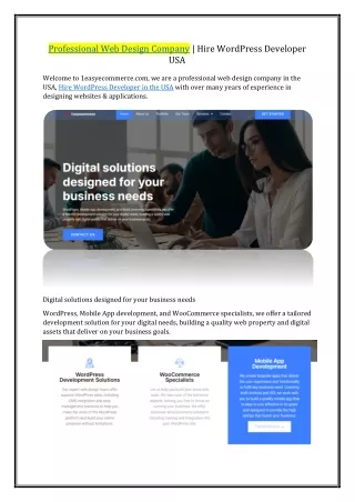 Professional Web Design Company - Hire Wordpress Developer USA