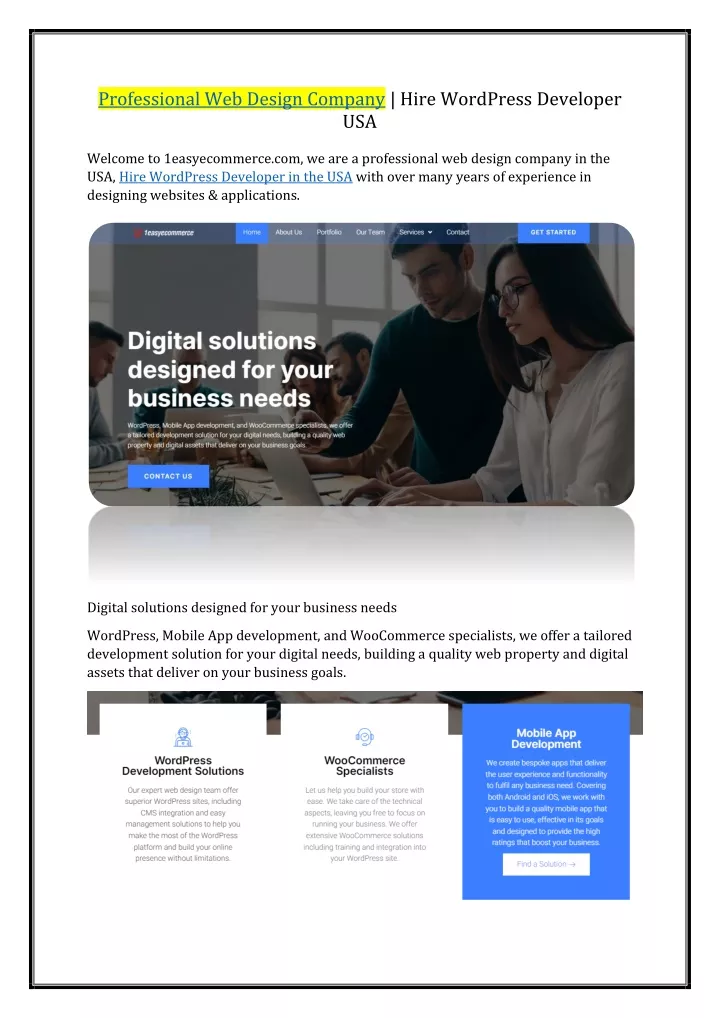 professional web design company hire wordpress