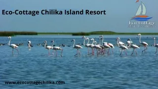eco cottage chilika island resort