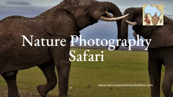 nature photography safari