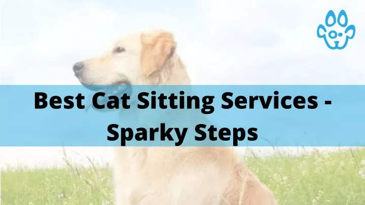 best cat sitting services sparky steps