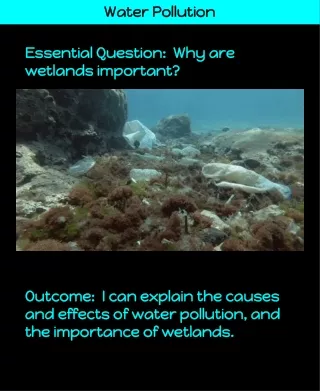 water pollution