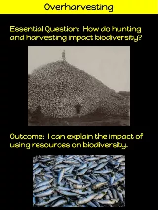 overharvesting