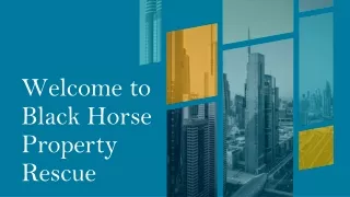 Welcome to Black Horse Property Rescue