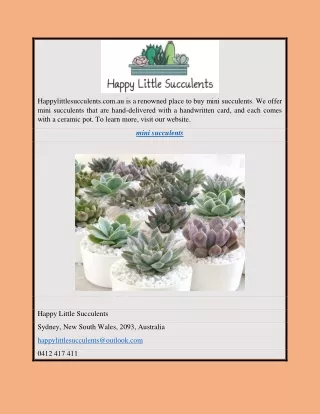 Mini Succulents | Happylittlesucculents.com.au