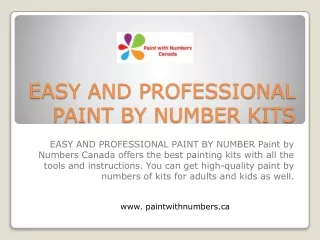 EASY AND PROFESSIONAL PAINT BY NUMBER KITS