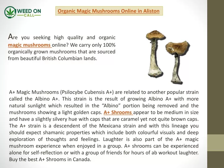 organic magic mushrooms online in aliston