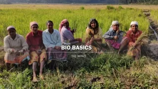 bio basics