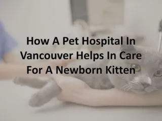 How A Pet Hospital In Vancouver Helps In Care For A Newborn Kitten