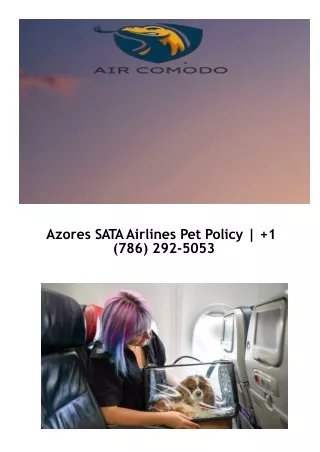 Azores Sata Airlines Pet Policy