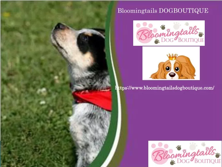 bloomingtails dogboutique