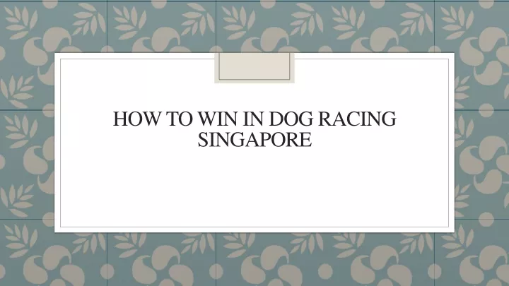 how to win in dog racing singapore