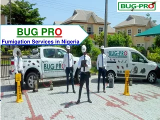 Professional Pest Management and Fumigation Companies in Lagos