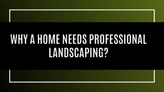 Why A Home Needs Professional Landscaping?