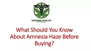 What Should You Know About Amnesia Haze Before Buying?