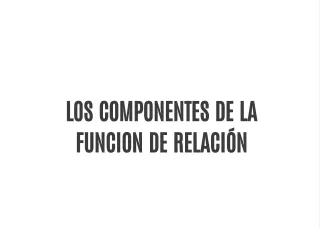los componentes de la funcion de relaci n