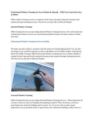 professional window cleaning services in dubai