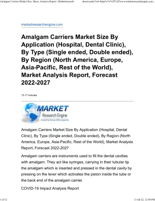 amalgam carriers market size share analysis