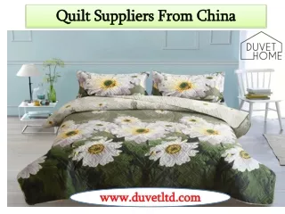 Quilt Suppliers from china