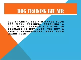 dog training bel air