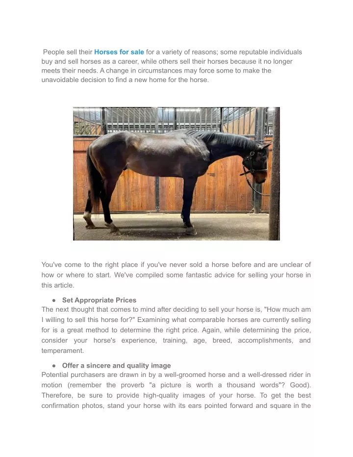 PPT - Top Tips To Consider For Selling Your Horse PowerPoint ...