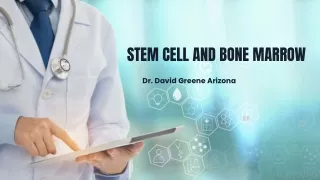 stem cell and bone marrow
