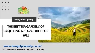 bengal property