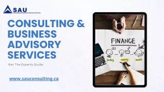 Consulting & Business Advisory Services