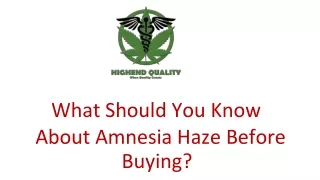 What Should You Know About Amnesia Haze Before Buying?
