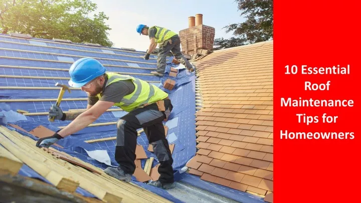 10 essential roof maintenance tips for homeowners