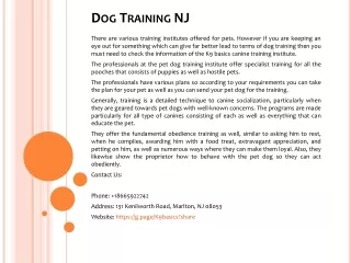 dog training nj