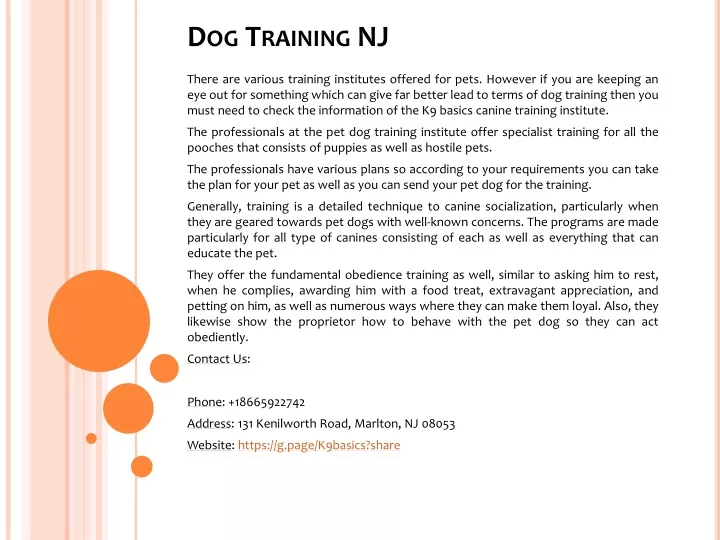 dog training nj