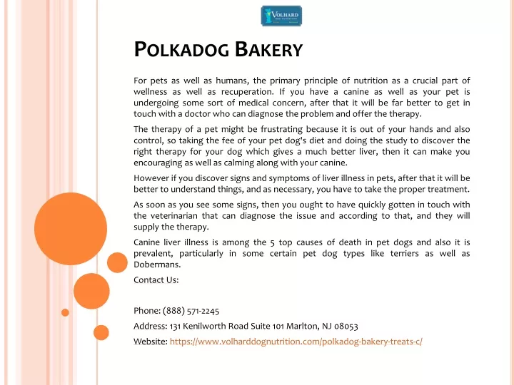 polkadog bakery