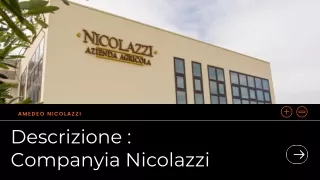 Descripció de l'empresa Nicolazzi : Amedeo Nicolazzi