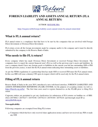 foreign liability and assets annual return