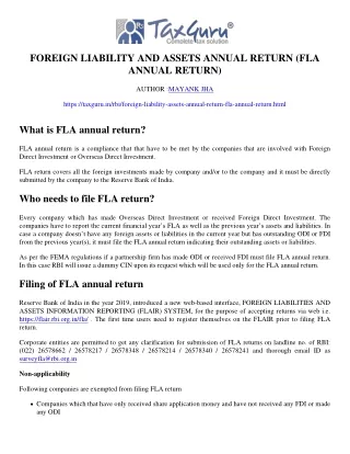 foreign liability and assets annual return