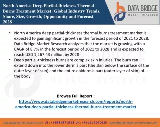 north america deep partial thickness thermal