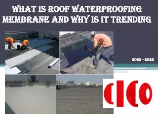 What is Roof Waterproofing Membrane