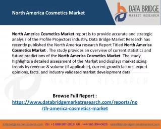 north america cosmetics market