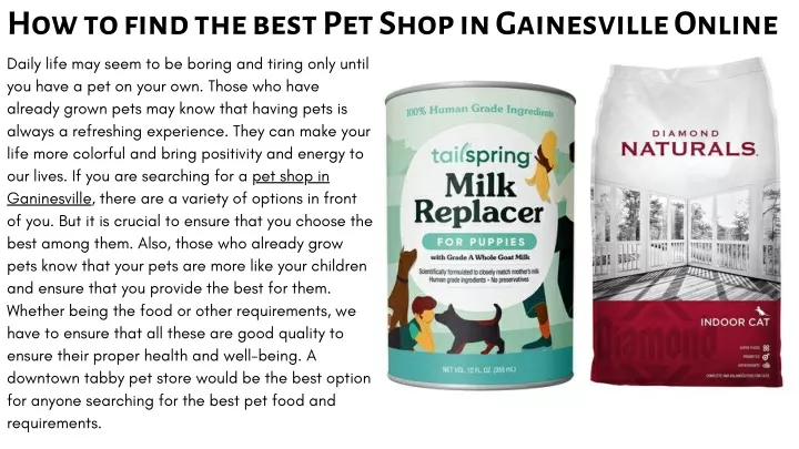 how to find the best pet shop in gainesville