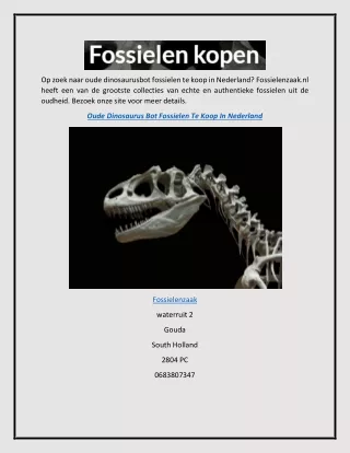Oude Dinosaurus Botten Fossielen te koop in Nederland  Fossielenzaak.nl