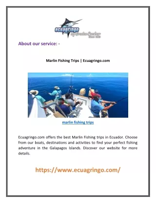 Marlin Fishing Trips | Ecuagringo.com