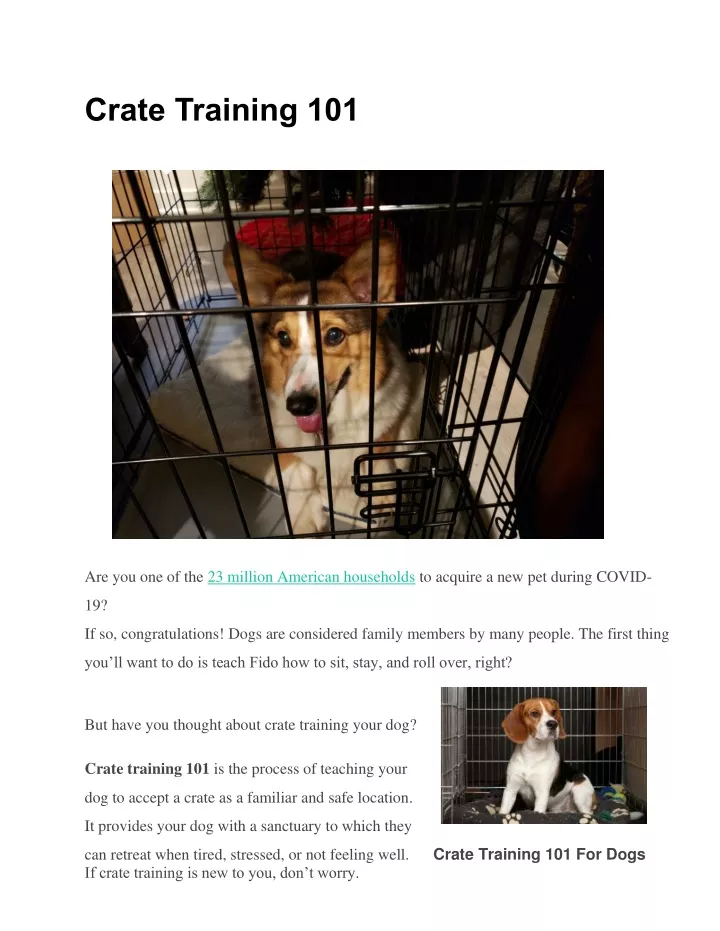 crate training 101