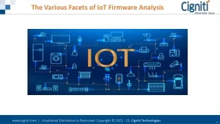 The Various Facets of IoT Firmware Analysis