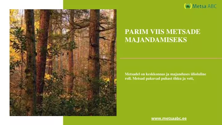 parim viis metsade majandamiseks