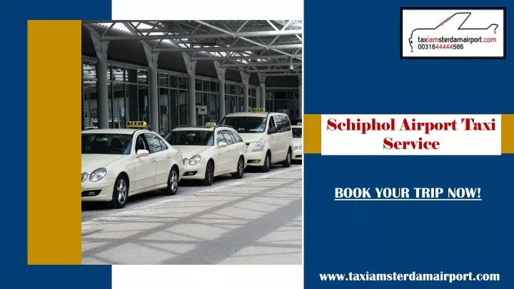 schiphol airport taxi service
